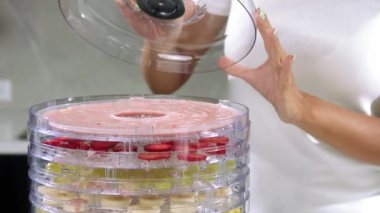 Kurutucuda meyve püresi, meyve püresi ve kurutucuda meyve suyu, kız kurutucunun kapağını kapatır.