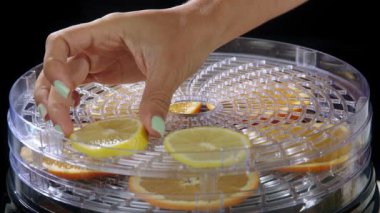 Kız limon dilimliyor, yavaş çekimde dilimler, limon dilimleri, kurutucuya limon dilimleri koyuyor.