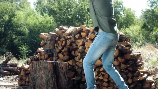 Muž Sekání Dřeva Zpomalení Muž Sekání Dřeva Zahradě Slunný Den — Stock video