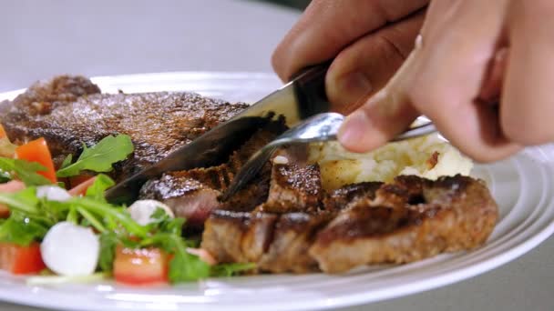 切碎烤肉慢动作 切碎盘中的肉 切碎肉片 切碎肉片 沙拉加莫扎瑞拉和西红柿 — 图库视频影像