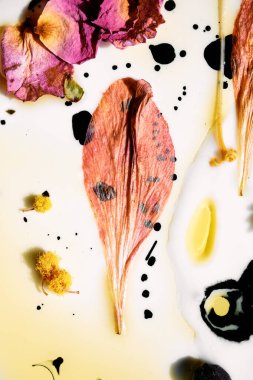 Alstroemeria Petal ve Sarı Polen 'in mürekkep ve yağ soyut düzenlemesinde görüldü. Whit 'e Sanatsal Botanik Düz Yattı