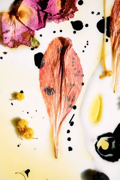 Alstroemeria Petal ve Sarı Polen 'in mürekkep ve yağ soyut düzenlemesinde görüldü. Whit 'e Sanatsal Botanik Düz Yattı