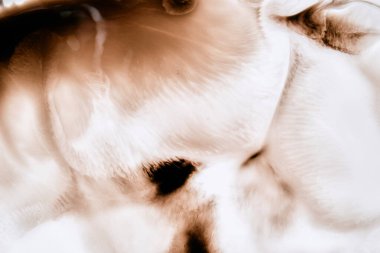 Yumuşak, kıvrımlı şekiller oluşturan yumuşak mürekkep akışına yakın çekim..