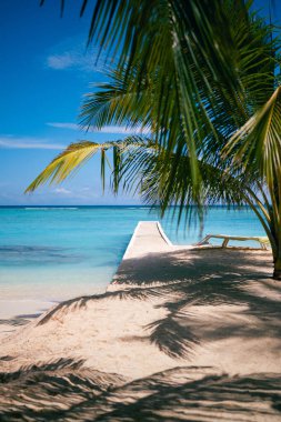 Turkuaz denizi ve parlak güneş ışığı ve açık mavi gökyüzü altında palmiye ağaçları olan tropik rıhtıma giden kumlu yol, Maldivler