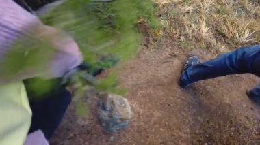 Dişi, Barskoon Şelalesi yakınlarındaki mağara ormanlarında yürüyor. Buna Champaign sıçramaları deniyor. Seyahat, Kırgızistan 'da turizm. 4K içerisindeki sahne arkaplanı. 