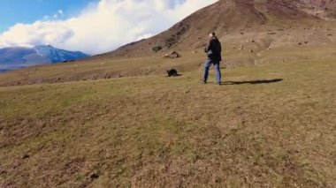 Kırgızistan 'da sonbahar günü açık havada Alman çoban köpeği. Arkaplanda kar zirvesi.