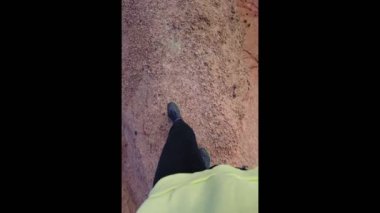 Orta Asya 'daki Peri Masalı Kanyonu' nun kenarında köpeğiyle gezen bir kadın. Kırgızistan 'da çok katmanlı güzel bir peri masalı kanyonu.. 