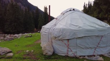 Kırgızistan dağlarındaki ormanda geleneksel yurt.