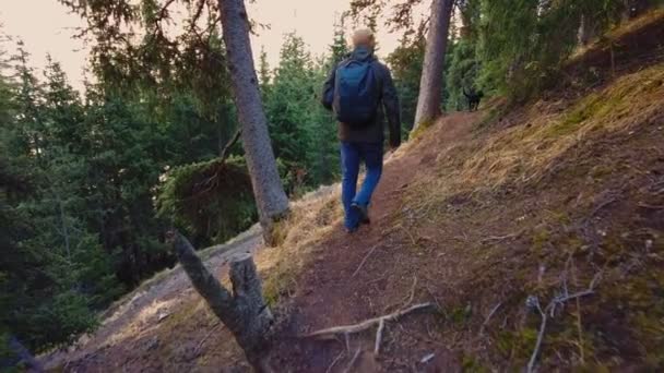 Homme Promène Dans Forêt Tanières Près Cascade Barskoon Appelée Éclaboussures — Video