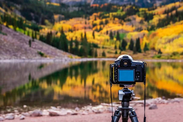 Επαγγελματική Φωτογραφική Μηχανή Και Φθινοπωρινές Λεύκες Αντανακλάται Στη Λίμνη Maroon Εικόνα Αρχείου