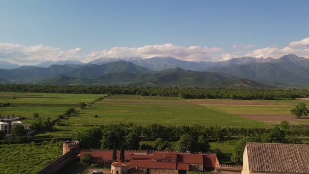 Letecký Pohled Alaverdiho Klášter Komplexní Panoramatický Výhled Kakheti Kakheti Region — Stock video