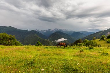 Dağları olan vahşi atlar arka planda bulutlar ve fırtına bulutları olan. Kafkas Dağları, Gürcistan 'ın Svaneti bölgesi.