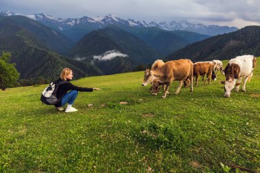 Dağları olan yürüyüşçü ve inekler arka planda bulut ve fırtına bulutlarıyla sıralanır. Kafkas Dağları, Gürcistan 'ın Svaneti bölgesi.