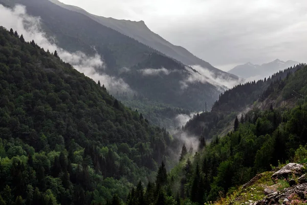 stock image Beautiful panoramic view of forest mountain range in fog.