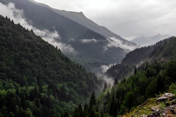 Beautiful Panoramic View Forest Mountain Range Fog Royalty Free Stock Images