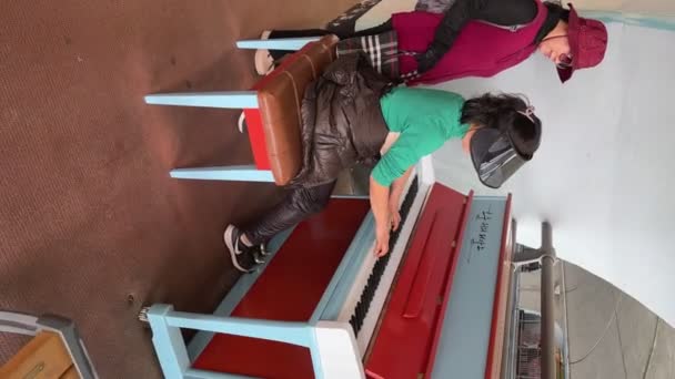 Уличный Пианист Играет Пианино Парке Сеуле Корея Вертикальный Удар Сеул — стоковое видео