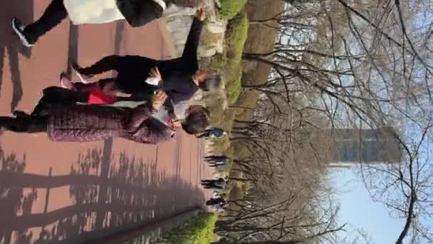 Mensen Wandelen Het Seokchon Lake Park Met Kersenbloesem Bomen Lotte — Stockvideo