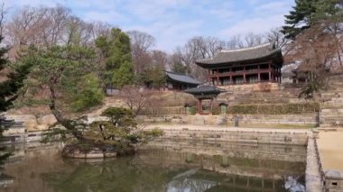 Changgyeonggung Sarayı 'ndaki gizli bahçenin kıyısında. Saray Kral Sejong tarafından inşa edildi ve Joseon hanedanlığının beş büyük sarayından biriydi..
