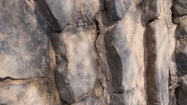 Changgyeonggung Sarayı 'ndaki gizli bahçedeki kayalıklardan yapılan taş basamaklarda yürüyorum. Saray Kral Sejong tarafından inşa edildi ve Joseon hanedanlığının beş büyük sarayından biriydi..