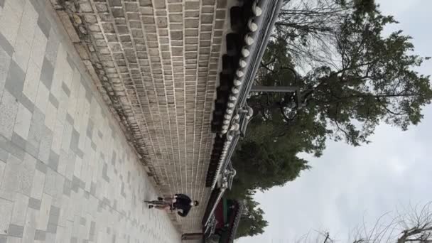 Bicicletta Cavaliere Una Bicicletta Presso Parco Video Verticale Seoul Corea — Video Stock