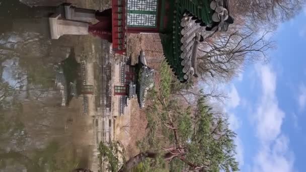 Берег Пруда Тайном Саду Дворце Чангёнгун Дворец Построен Королём Седжоном — стоковое видео