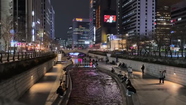 Widok Nocy Cheonggye Stream Cheonggyecheon Centrum Turyści Mieszkańcy Odpoczywają Spacerują — Wideo stockowe