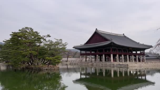 Palacio Gyeongbokgung Flor Cerezo Primavera Seúl Corea Del Sur — Vídeos de Stock