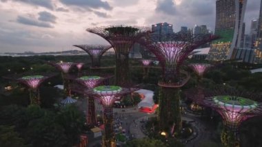 Supertree Grove 'un 4K hava manzarası alacakaranlıkta aydınlandı. Arka plandaki ünlü Marina Bay Sands Oteli. Singapur, Singapur - 15 Ocak 2023.