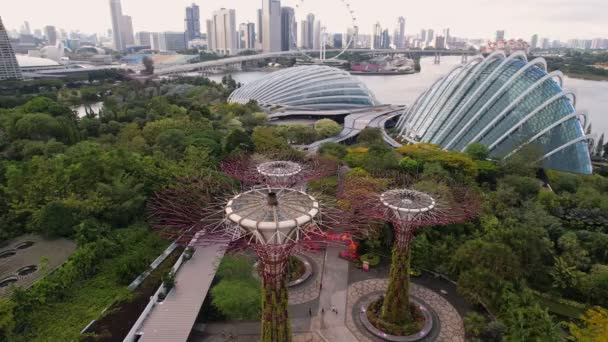 夕暮れ時にライトアップされた雲の森と花のドームへの空中ビュー 背景にある有名なホテル 4Kのシンガポール市湾の庭園 — ストック動画