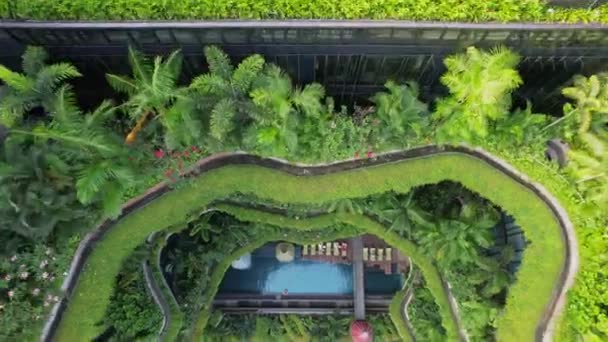 Вид Повітря Знаменитий Готель Сінгапурі Будівля Має Джунглі Зелений Фасад — стокове відео