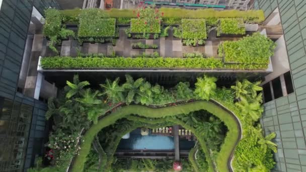 シンガポールの有名なホテルの空中ビュー この建物は緑のファサードのようなジャングルがあります — ストック動画
