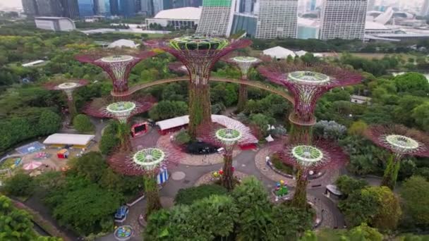 Légi Kilátás Cloud Forest Flower Dome Megvilágított Alkonyat Híres Hotel — Stock videók