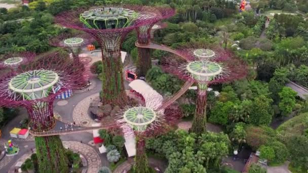 夕暮れ時にライトアップされた雲の森と花のドームへの空中ビュー 背景にある有名なホテル 4Kのシンガポール市湾の庭園 — ストック動画