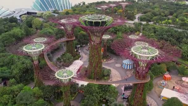 在暮色中 云雾森林和花柱的空中景色闪烁着光芒 以著名酒店为背景 4K年新加坡湾旁的花园 — 图库视频影像