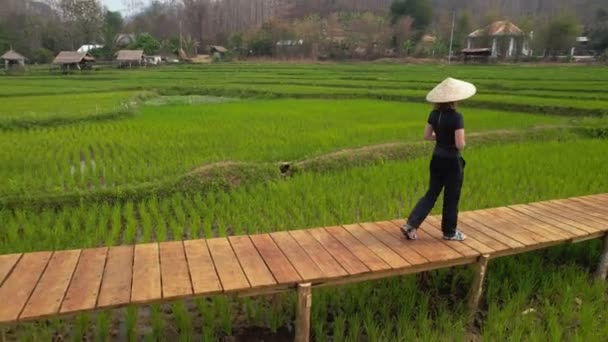 Female Stands Wooden Bridge Green Rice Field Laos Flag Pole — Stock Video