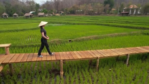 Feminino Fica Ponte Madeira Sobre Campo Arroz Verde Bandeira Laos — Vídeo de Stock