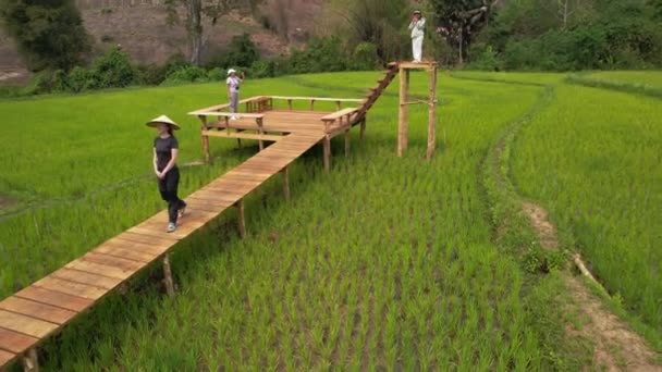 Kobieta Stoi Drewnianym Moście Nad Zielonym Polem Ryżowym Flaga Laosu — Wideo stockowe