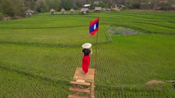 Hembra Encuentra Puente Madera Sobre Campo Arroz Verde Bandera Laos — Vídeo de stock