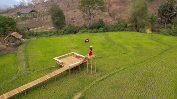 Hembra Encuentra Puente Madera Sobre Campo Arroz Verde Bandera Laos — Vídeo de stock