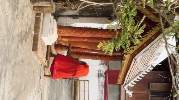 Young Buddhist Monk School Luang Prabang Laos March 2023 — Stock Video