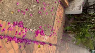 Luang Prabang 'ın eski caddelerinde geleneksel tarz evler ve Luang Prabang, Laos' ta birçok elektrik kablosu var. Tarihi sömürge Fransız mimarisi.