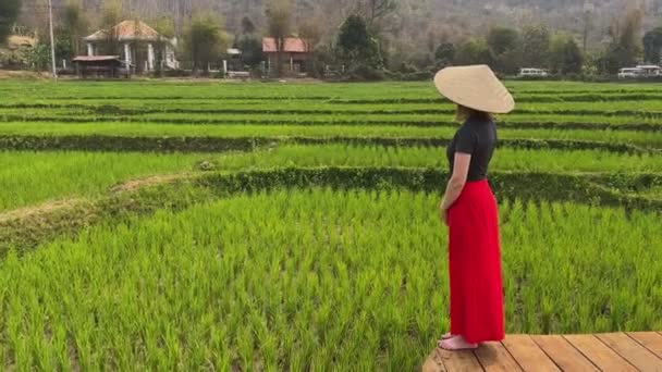 Ein Weibchen Steht Auf Der Holzbrücke Über Ein Grünes Reisfeld — Stockvideo