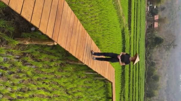 Uma Fêmea Fica Ponte Madeira Sobre Campo Arroz Verde Ela — Vídeo de Stock