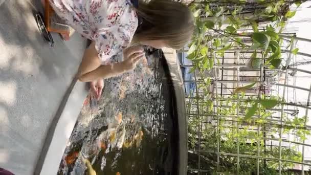 Een Vrouw Voedt Gouden Poep Vis Een Vijver Bij Het — Stockvideo