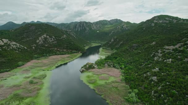 Des Images Aériennes Capturent Vue Imprenable Sur Virage Rivière Forme — Video