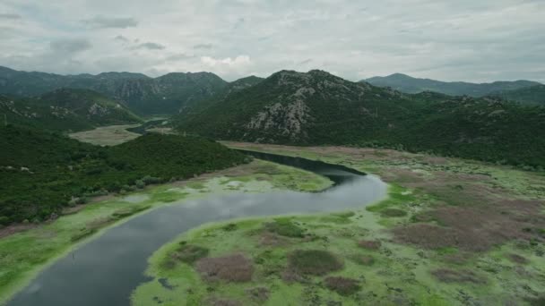 Съемка Воздуха Показывает Потрясающий Вид Изгиб Реки Форме Подковы Павловой — стоковое видео