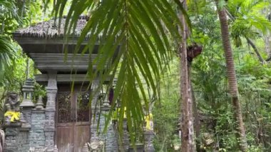 Ormanda gizlenmiş Tayland kültürü ve dini detaylarıyla. Dusit Dhewa, Samui Kültür ve Güzel Sanatlar Merkezi Koh Samui, Tayland.