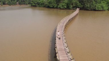 Siyah köpeği olan çekici genç bir kadın köprüden geçiyor. Chumphon, Tayland 'daki Nong Yai Pond ve Tahta Köprüsü' nün 4K yavaş çekim videosu..