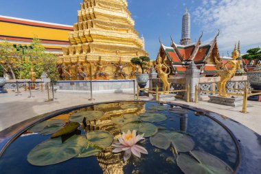 Zümrüt Buddha Tapınağı 'nın heykelleri suya çiçekli nilüfer çiçekleri ve yüzen yapraklarla yansıyor güneşli bir gün, Bangkok, Tayland
