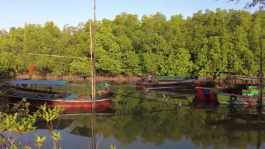 Yerel bir balıkçı ile geleneksel uzun kuyruklu tekneler, Tayland nehir kıyısındaki sakin suları yansıtan gür mangrov ormanları boyunca hareket ederler. Phuket, Tayland - 2 Ocak 2023.